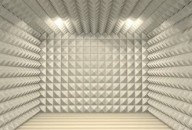 Get your home acoustically treated for fine living